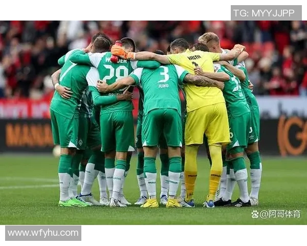 德甲争冠形势分析与球队表现评估的全面解读